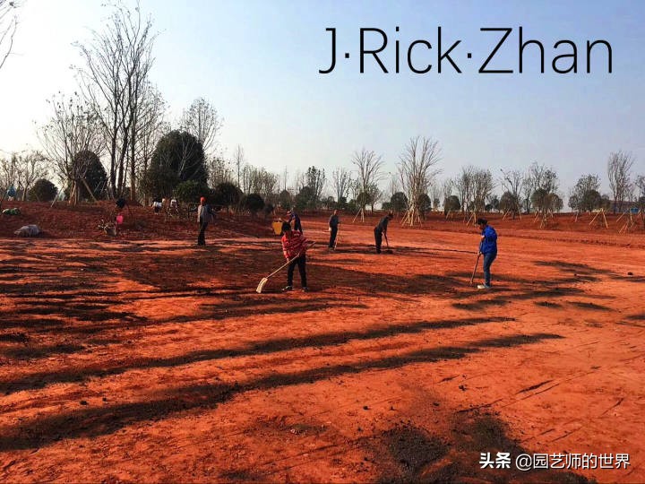 怎样种植草坪技术,果岭草坪的种植养护方法及技巧