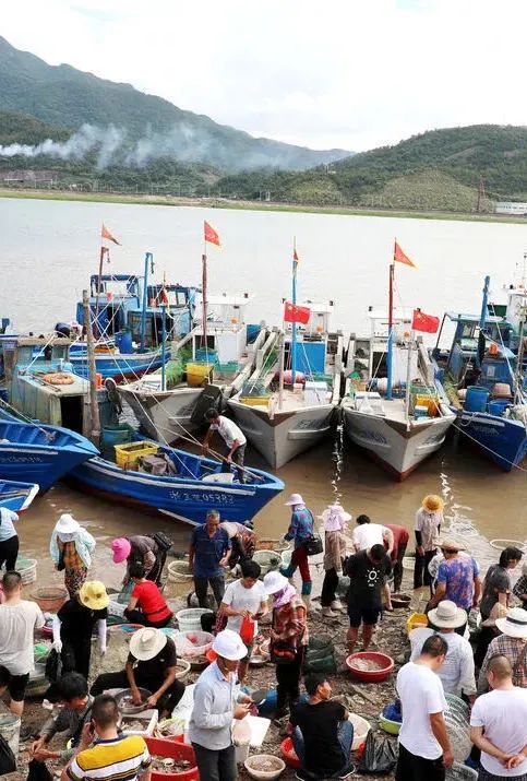 一年一度的开渔季,开渔季味蕾狂欢之旅