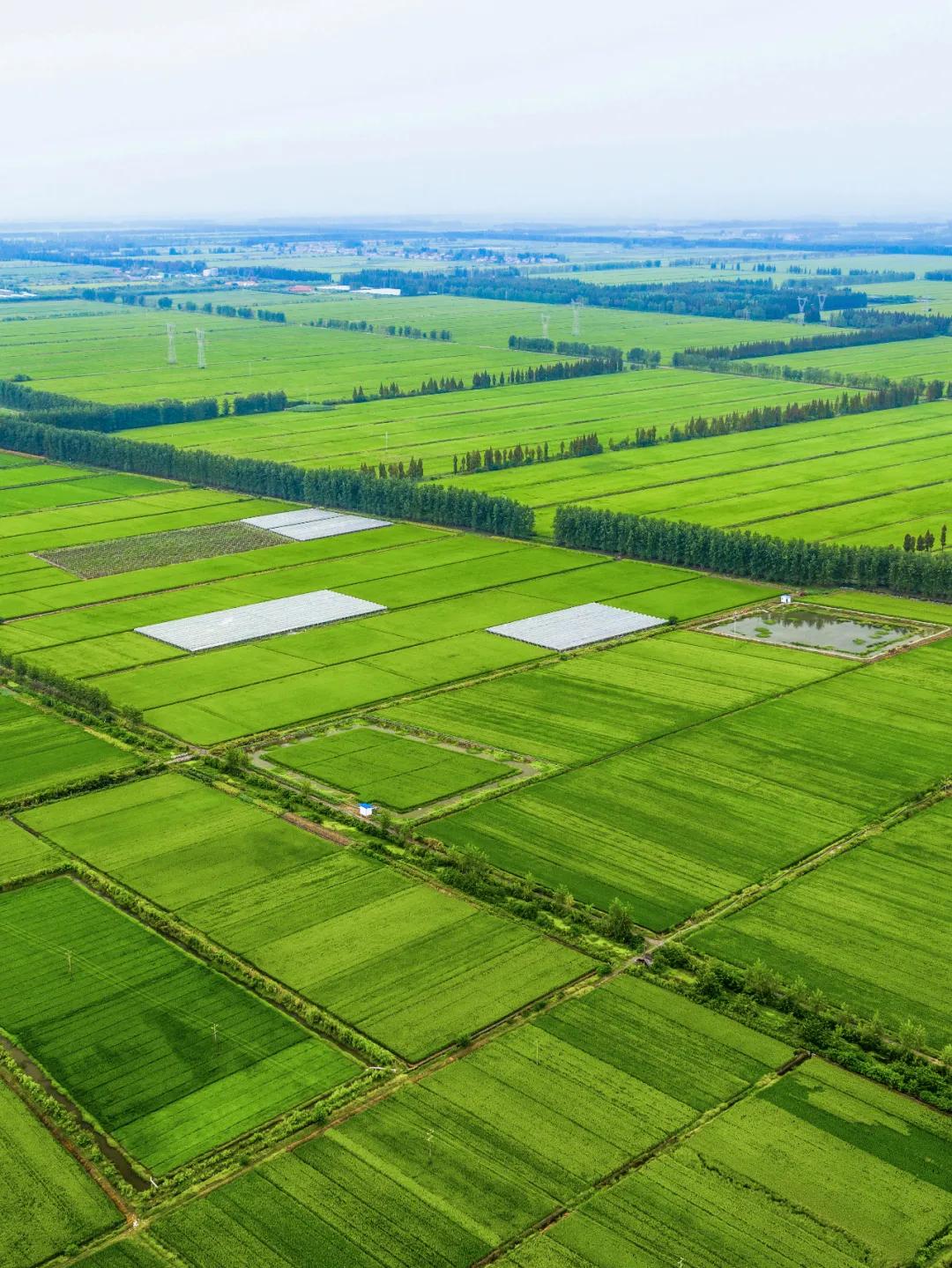 什么是湖北接触史,什么是湖北女生