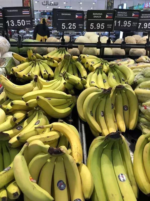 在迪拜生活成本高吗?为您还原最真实的迪拜