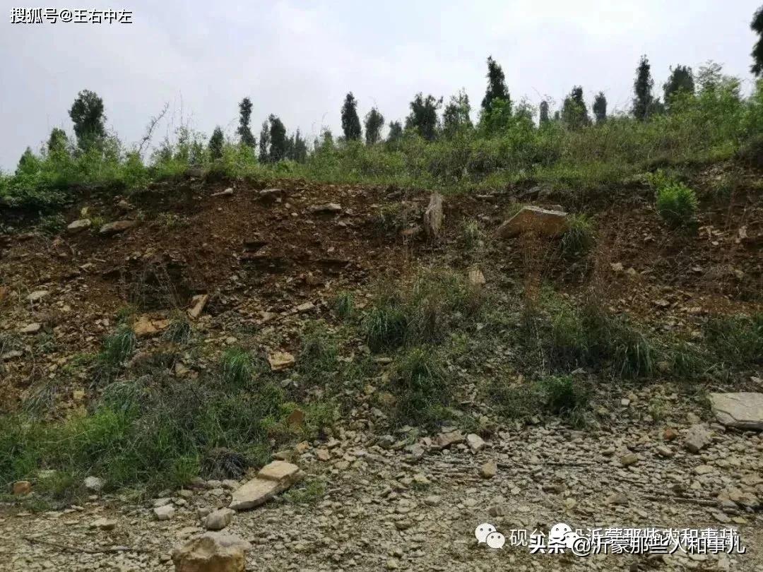 米芾《诏使帖》,米芾临沂使君帖书法赏析