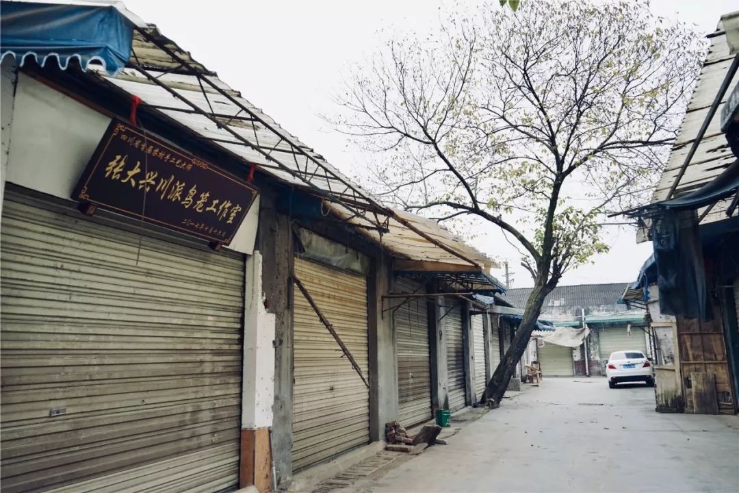 成都黄田坝鸟市在哪里,成都黄田坝鸟市