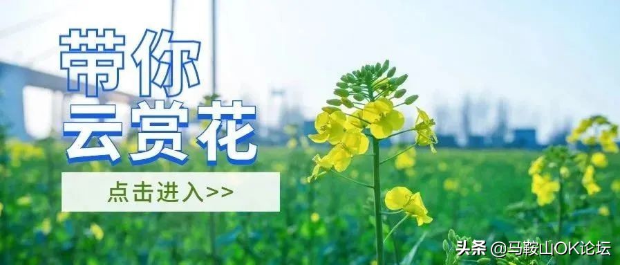 马鞍山深度体验,在马鞍山生活过的人