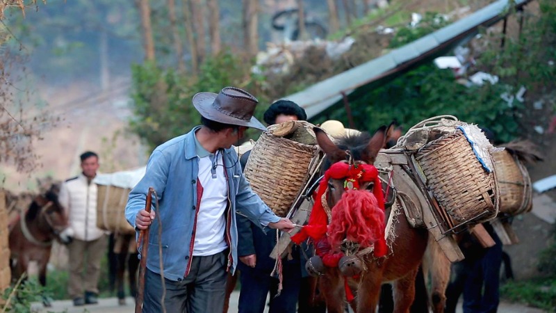 徐霞客游记游大理,徐霞客云南旅游攻略