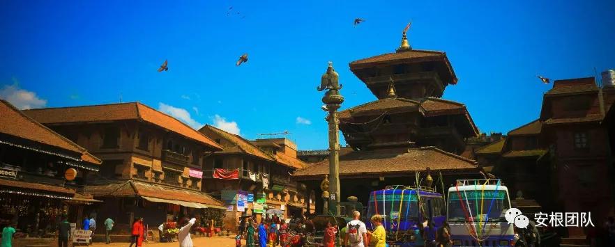 尼泊尔佛茶,尼泊尔高山茶