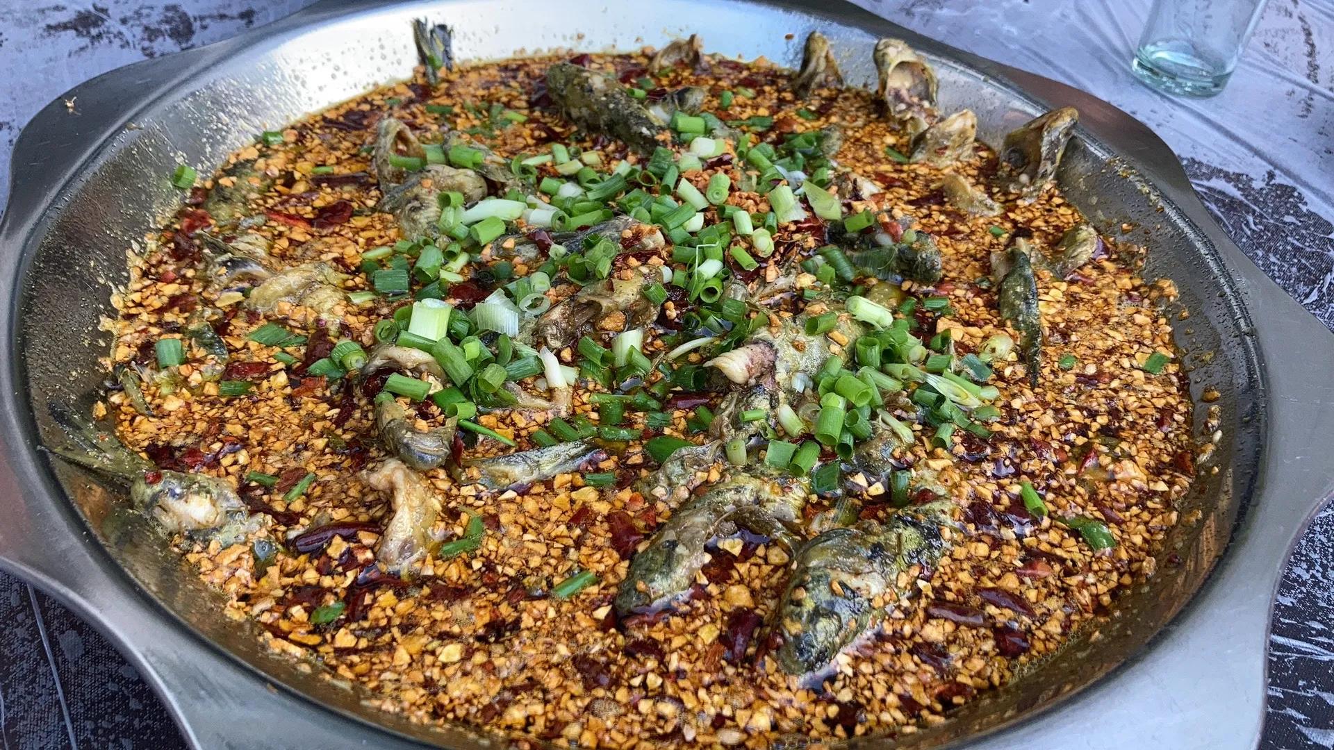 重庆周边摘果子的地方在哪里,重庆12月摘野果