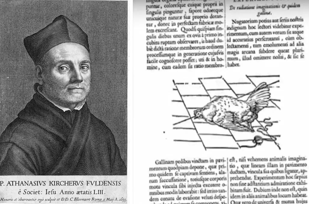 各种小动物是怎样装死的,动物装死是什么