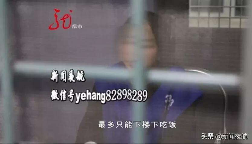 诈骗炒股平台案值超20万,男子利用平台漏洞敛财80万被捕