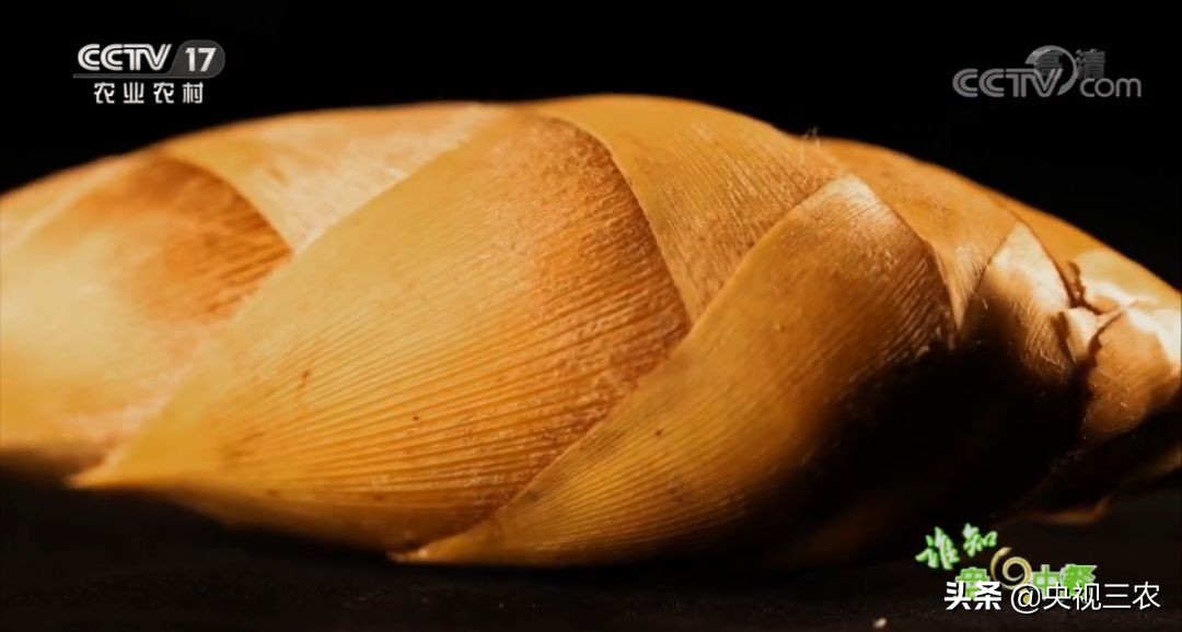 五星级大厨教你冬笋怎么没有涩味,冬笋去除涩味凉水下锅还是开水