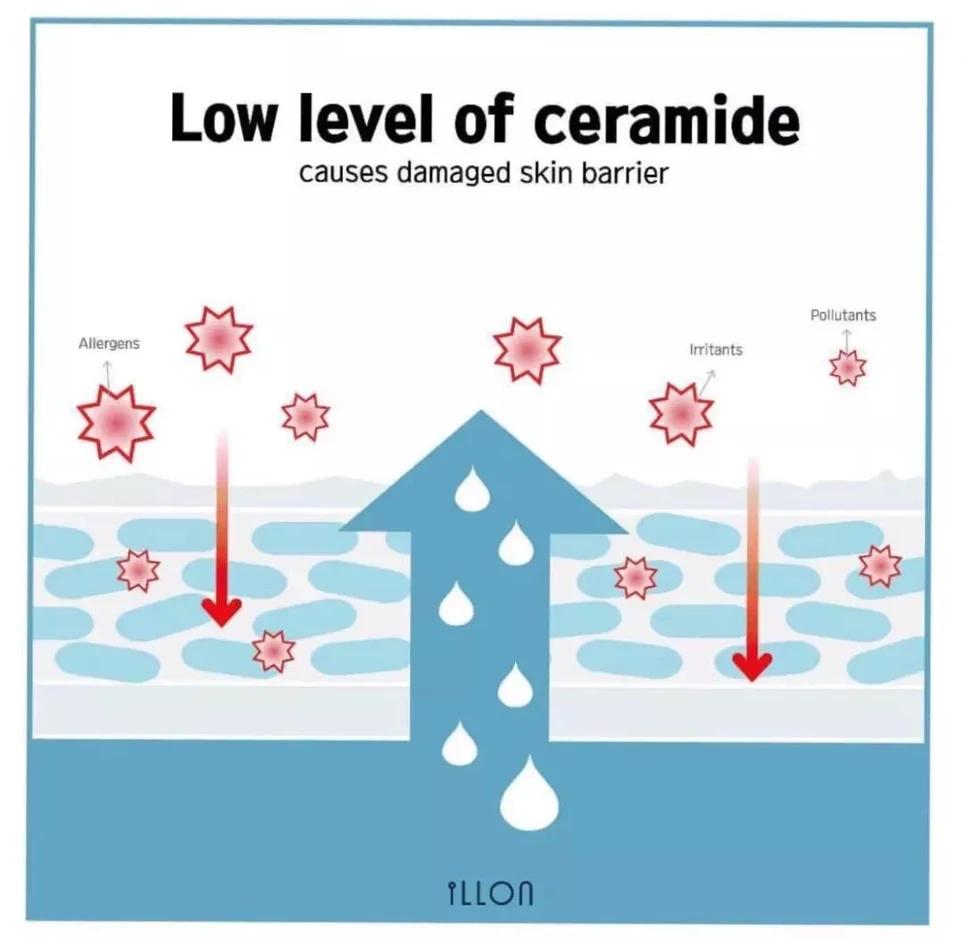 角质层增厚了皮肤好了,角质层健康