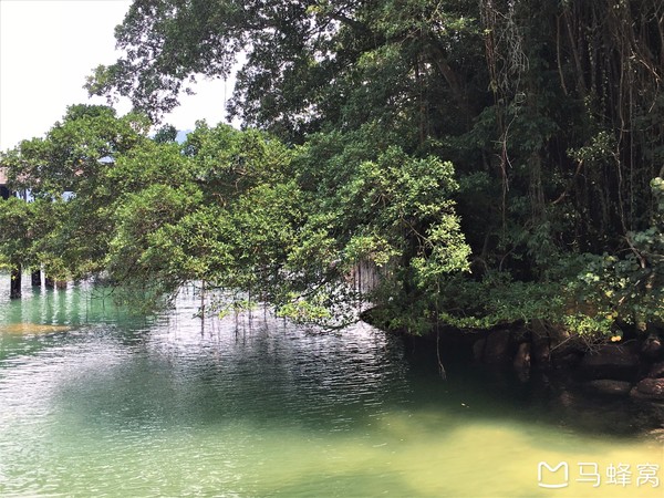 绿中海娱乐会所,绿中海旅游