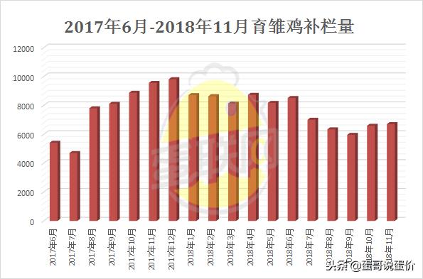 淘鸡涨价,淘鸡行情走势