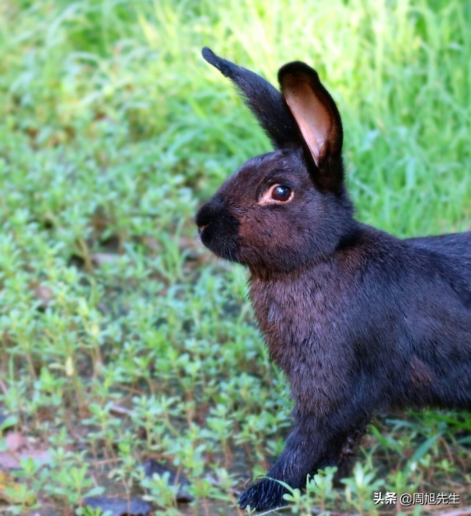 盛京3天深度自驾游好去处推荐,盛京游记