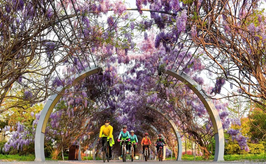 东港这么美！我要去看看