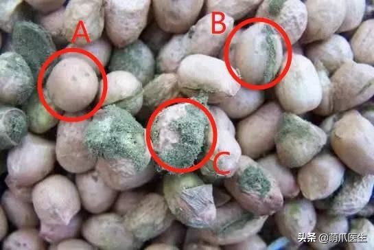 go猫粮吃了拉黄水,go猫粮吃了会黑下巴吗