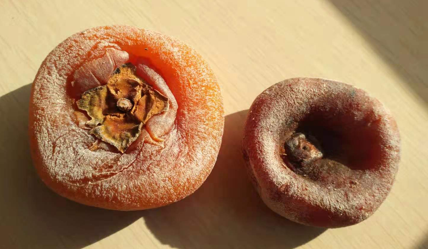 家用小烘干机柿饼烘干机,柿饼烘干机设备