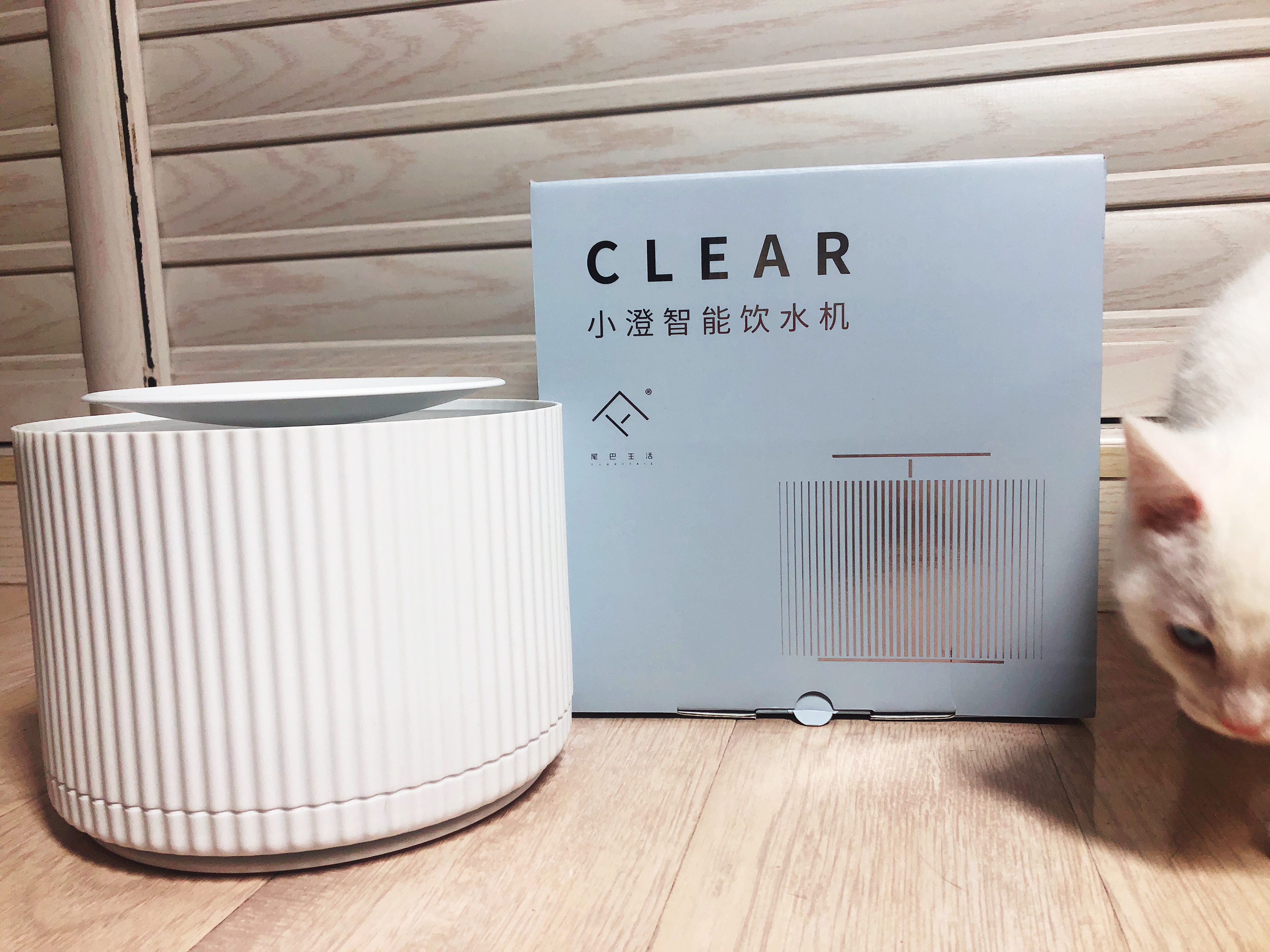 「喵呜联萌」尾巴君们的幸福生活—坦白猫粮+小澄智能饮水机评测