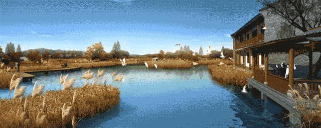 4000美金图片,五万美元效果图