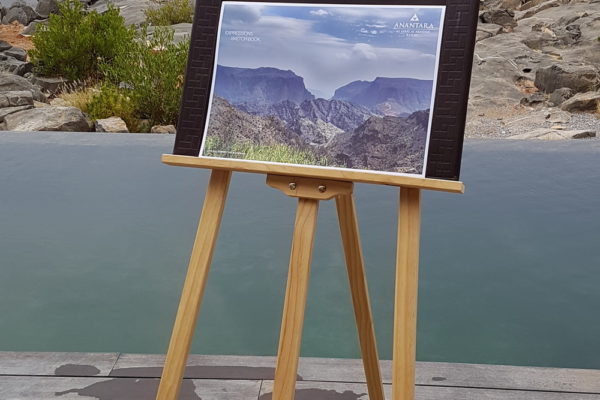 中东土豪在中国游玩,中东土豪游玩