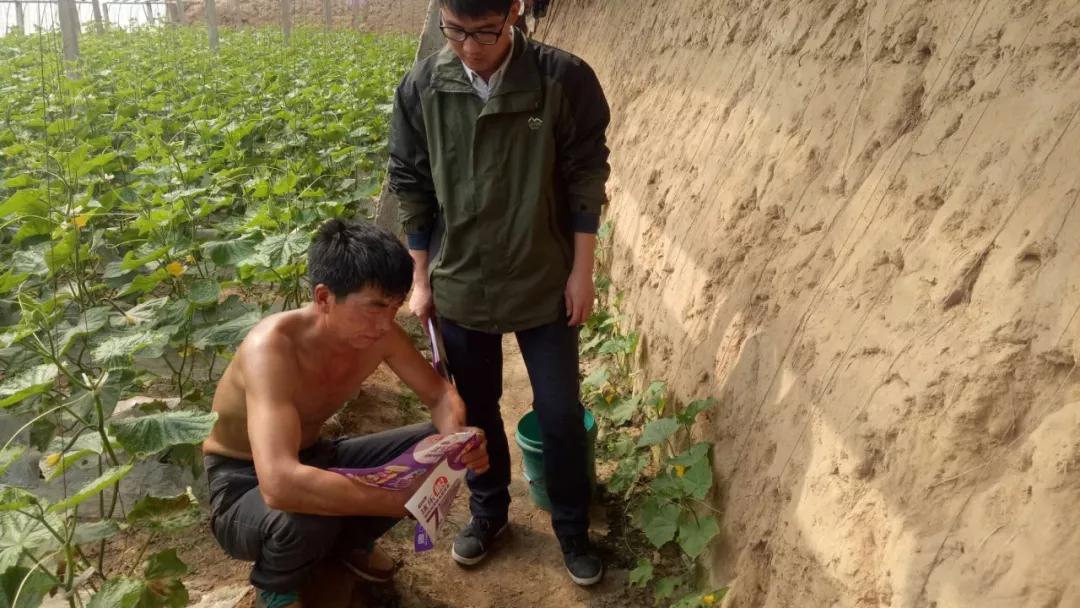 鉴别假化肥的方法,还有哪些辨别假劣化肥的方法