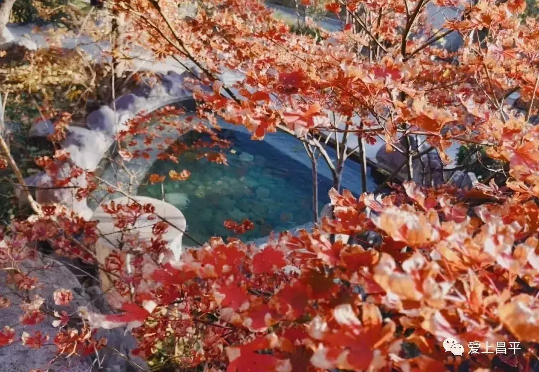 冷冬来袭,寒潮来袭快收下这份过冬锦囊吧