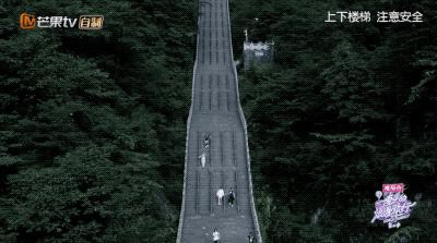 盘点谢娜摔倒名场面,谢娜坐轮椅突然摔倒