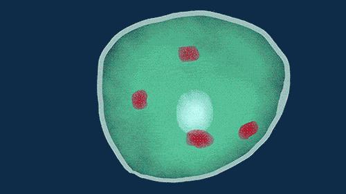 城野医生377精华反黑,城野医生精华合集测评