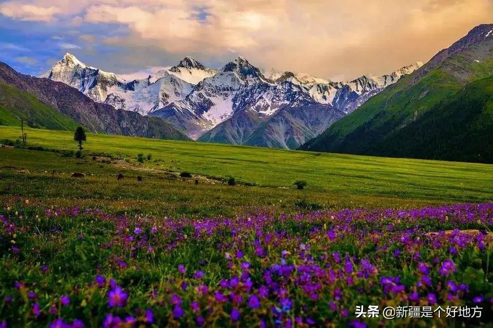 收藏!*疆新**60个“网红”打卡地都在这里