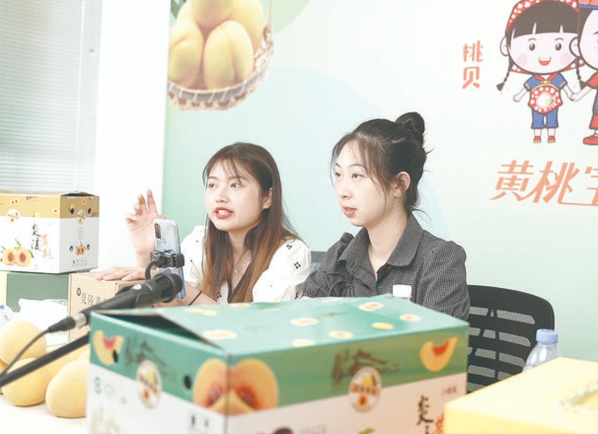 炎陵黄桃资料,黄桃生长历程