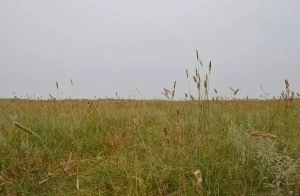 生僻字原唱完整版抖音,抖音网红生僻字是谁唱的