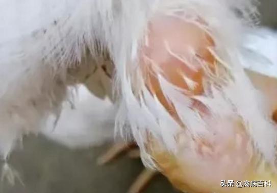 范老师课程视频,范老师讲堂