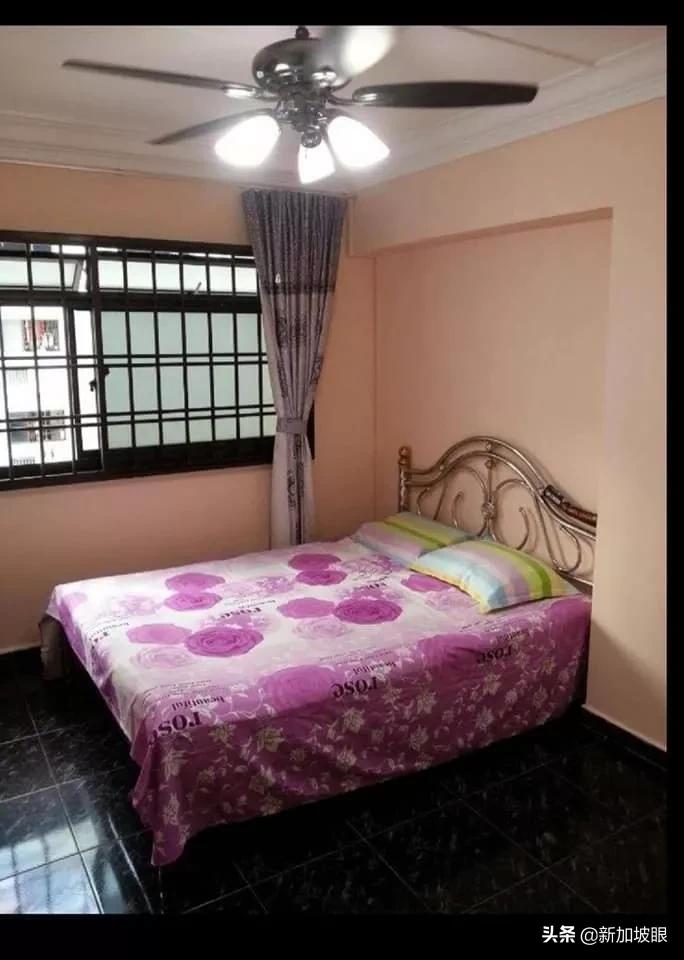 2024年新加坡租房攻略终极指南,新加坡最新租房价格