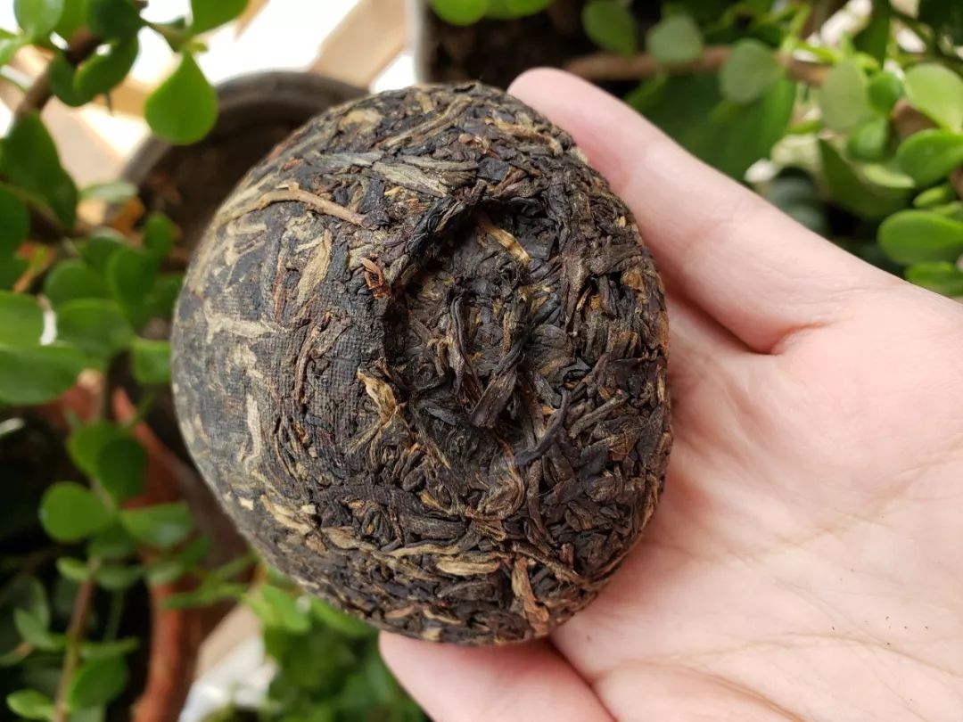 普洱沱茶勐海茶厂,下关沱茶甲字沱是普洱吗