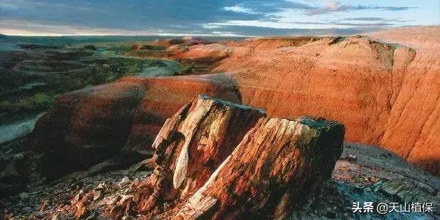 新疆的图木舒克市在什么位置,新疆的图木舒克是在北疆还是南疆