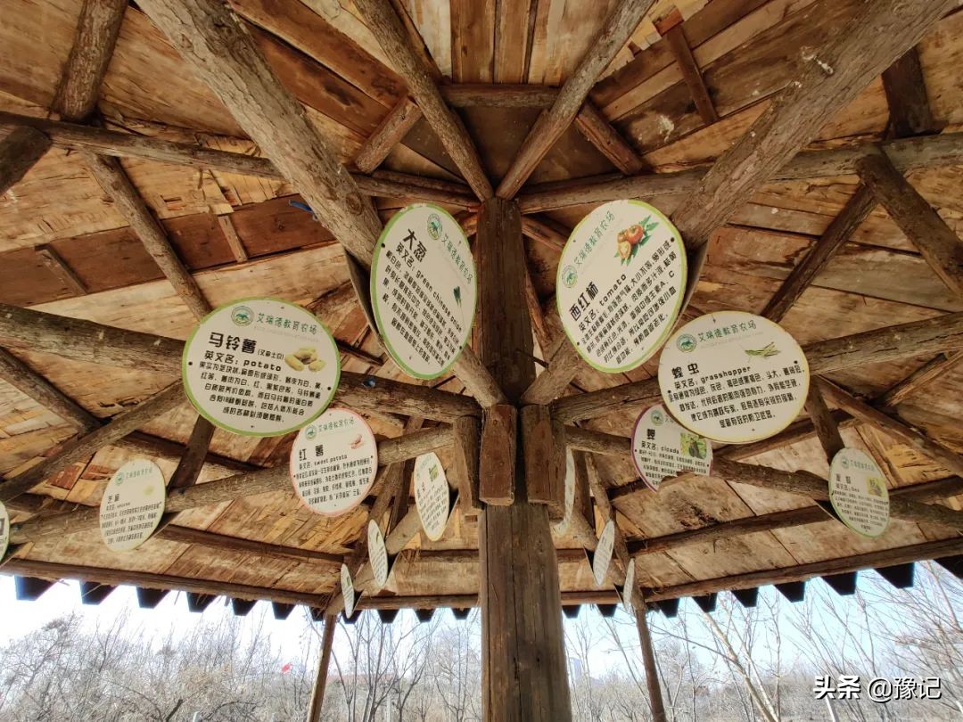 郑州一学校租300亩地教种地，不让家长改作业，也不让上补习班