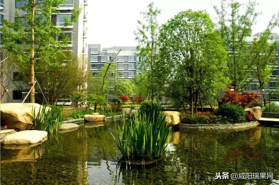 高新锦业壹号售罄,高新锦业壹号房子能买吗