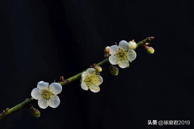 气量小的人有什么特点,气量小的人容易得什么病