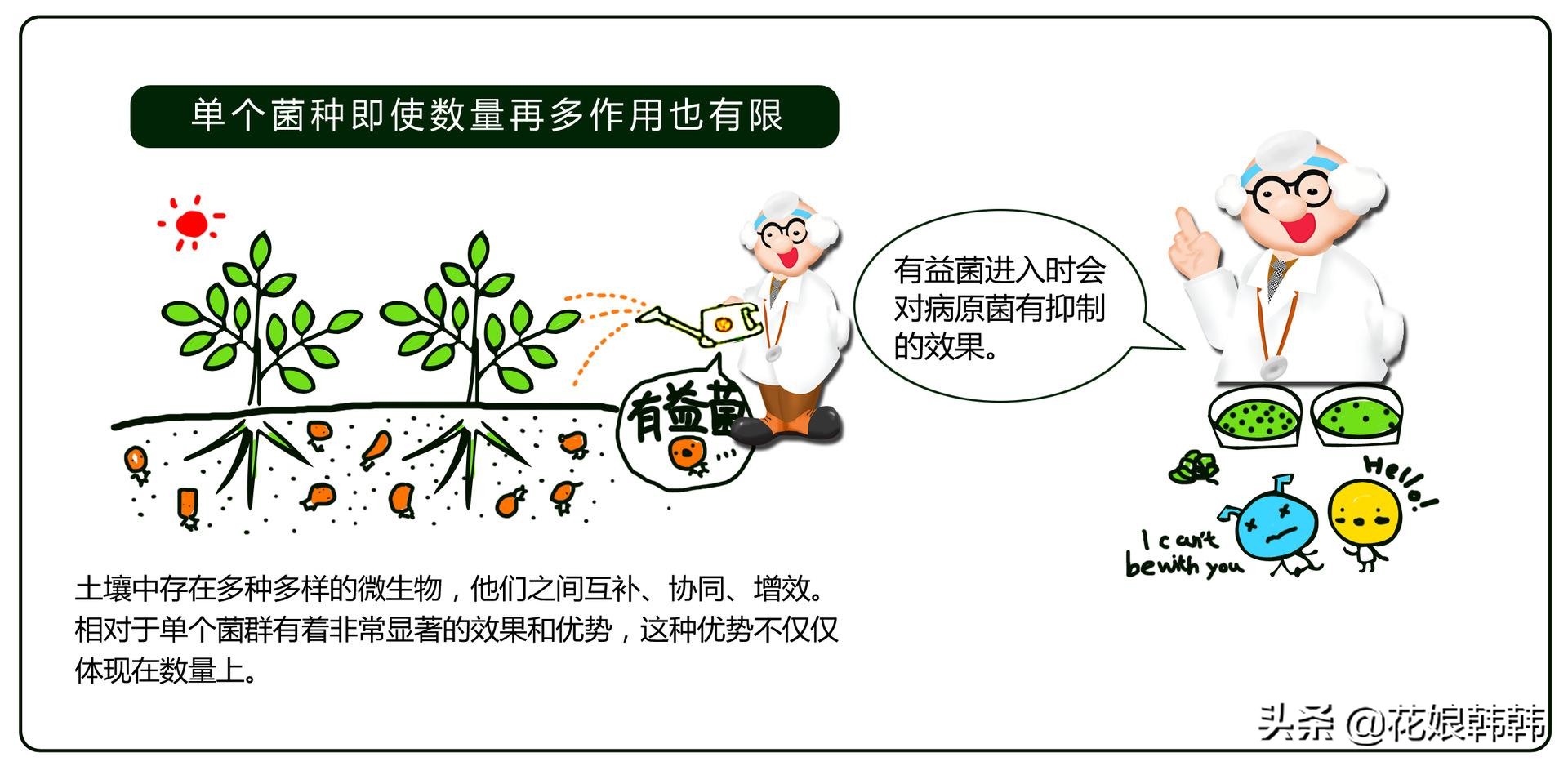 酸性土壤板结还是碱性土壤板结坏,土壤板结是怎么样的