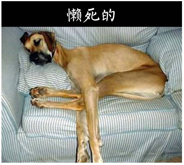 销售的最高境界掌握三大魔鬼法则,顶级销冠的6种销售话术绝招