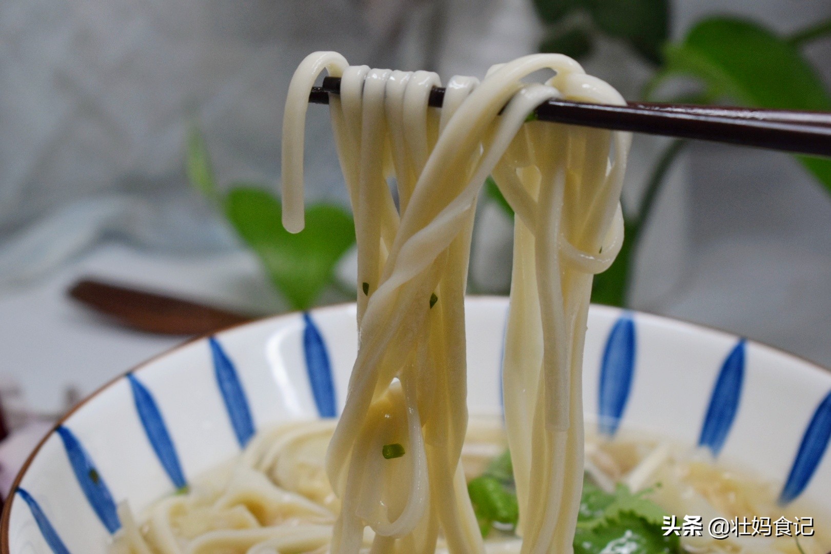 什么是饺面,拽面和饺子面的区别