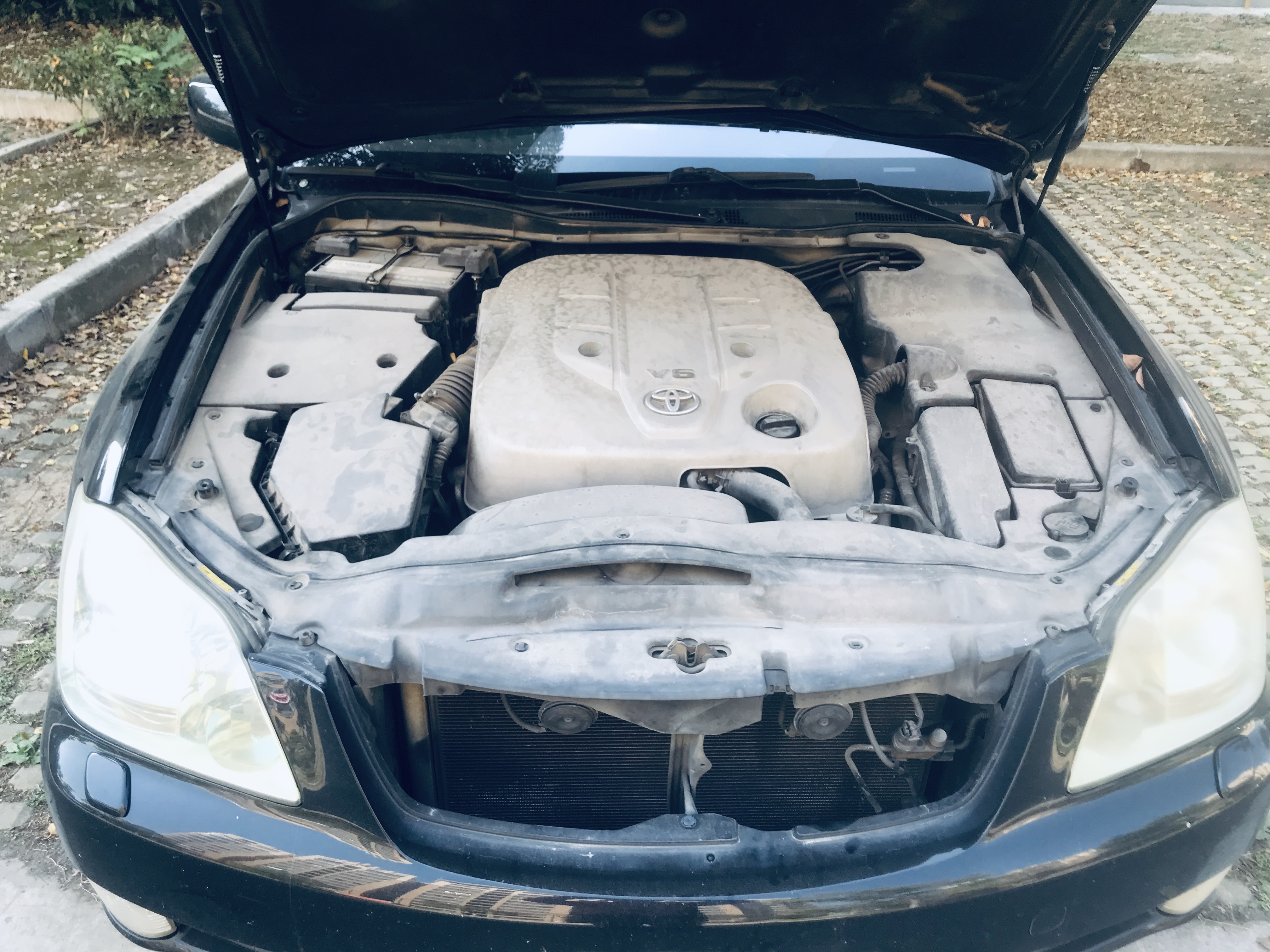 意外收获巨无霸,意外收获超级加倍名牌