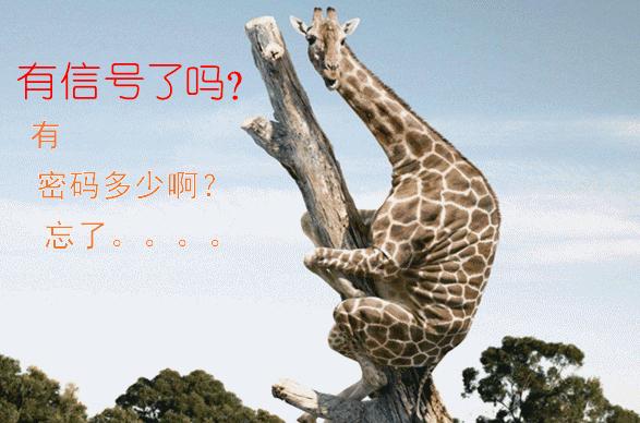 有人正在连自己家的wifi怎么办,一直有人连自己家wifi