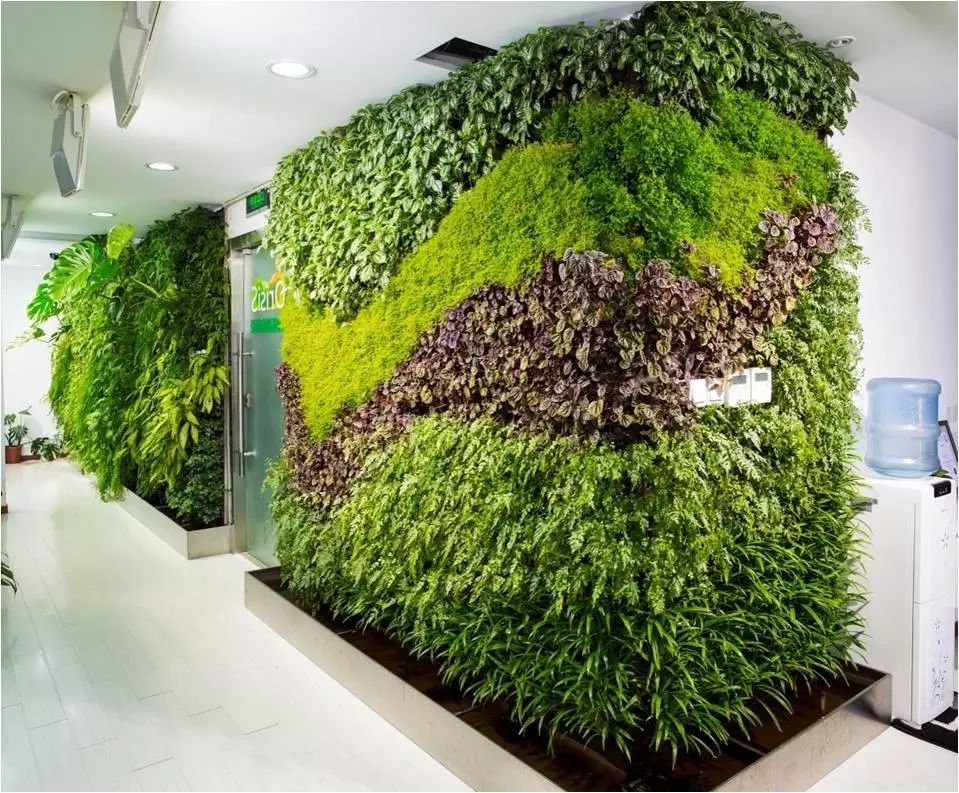 pvc塑料绿植,绿植盆里的塑料