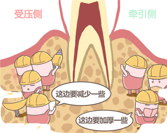 正畸失败的处理方法,正畸失败植骨