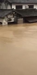 速看！“风王”侵袭，车牌丢失，怎么办？这样就行……