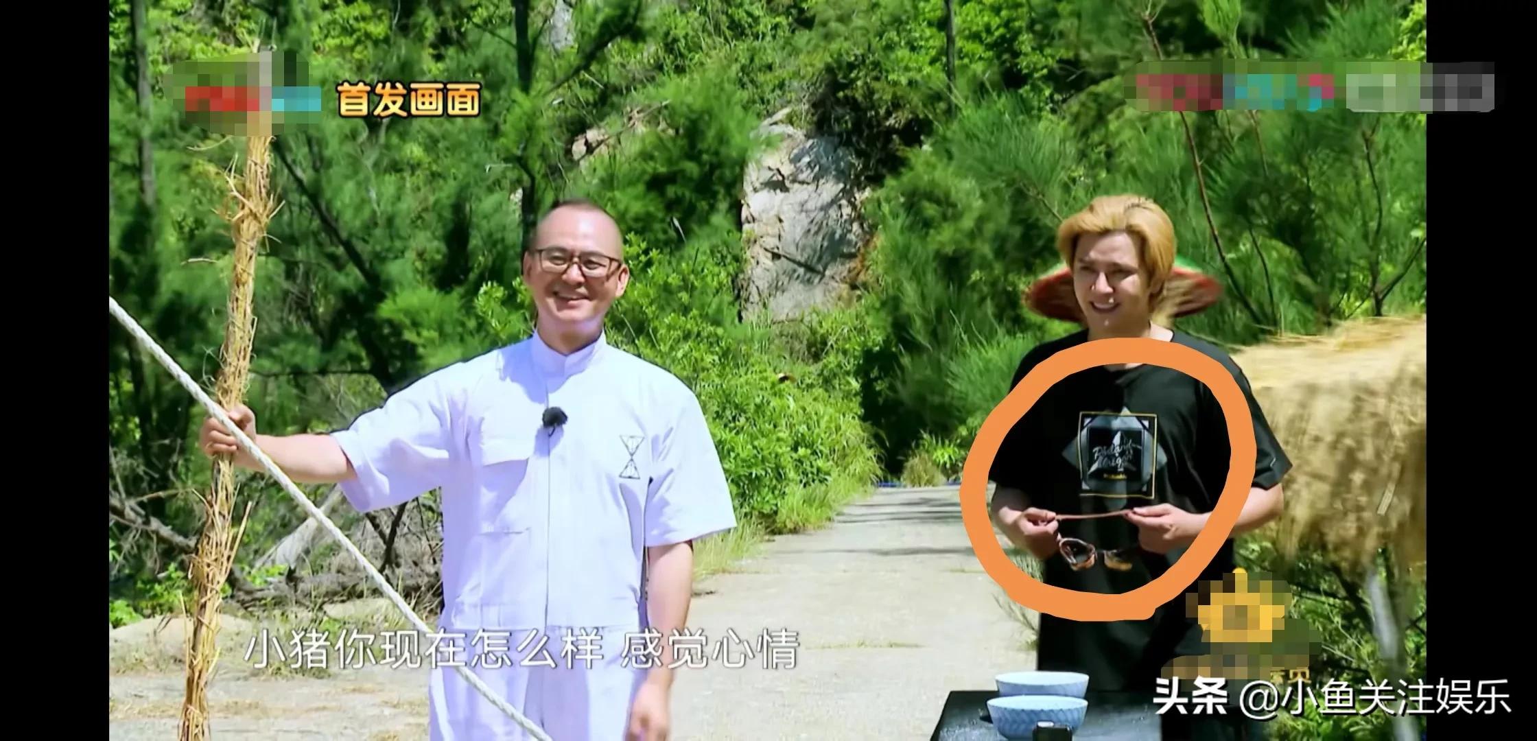 严敏为什么离开极限挑战呢,严敏离开极限说了什么