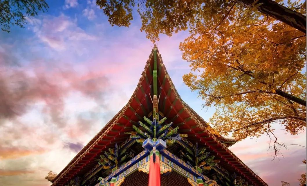 仙鹤起舞水粉画,仙鹤起舞展翅飞