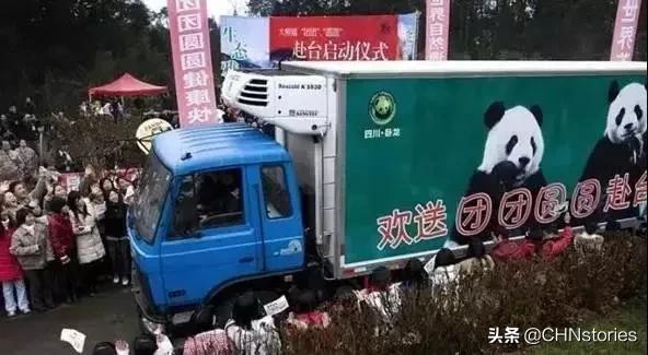 熊猫贝贝美国饲养员,海归大熊猫贝贝中国饲养员