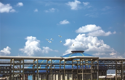 武汉石化,武汉石化企业