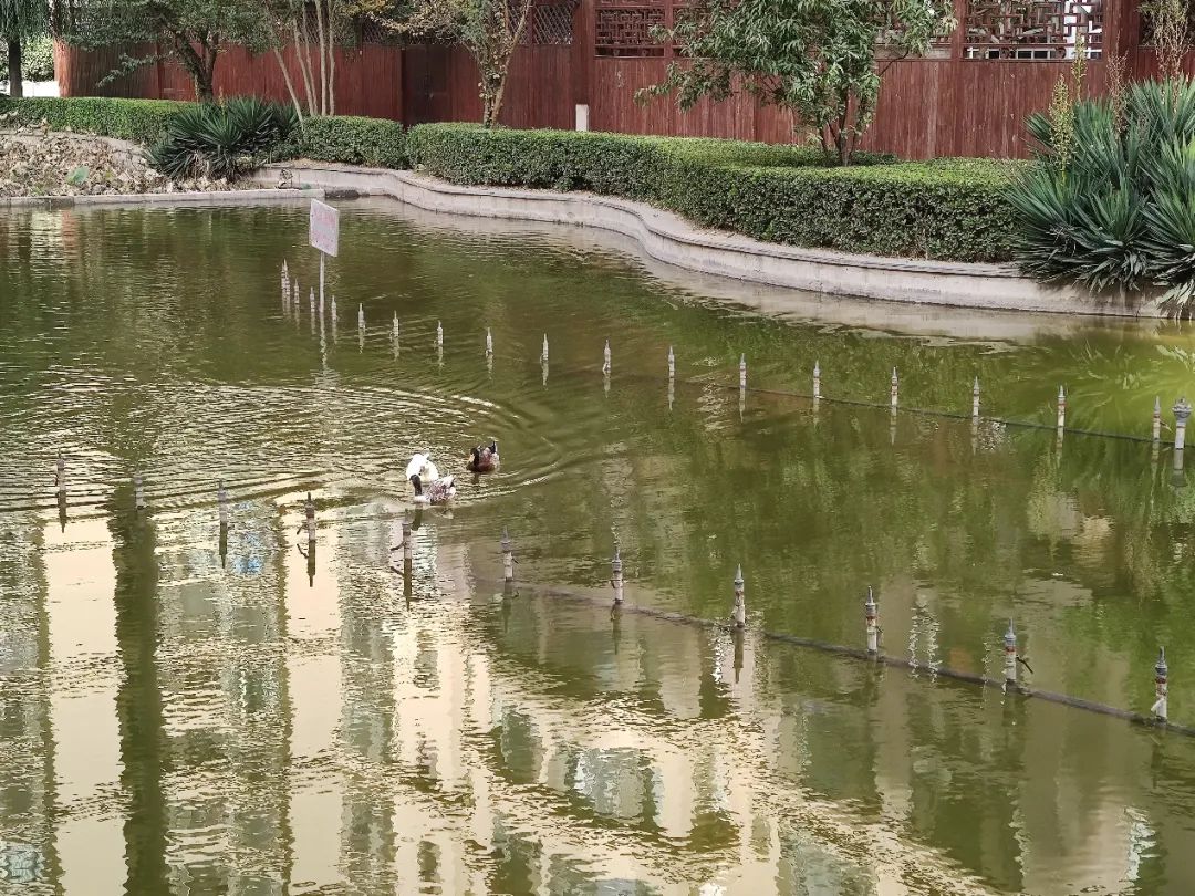 石家庄高新区最值得买的盘,实探一线湖景房